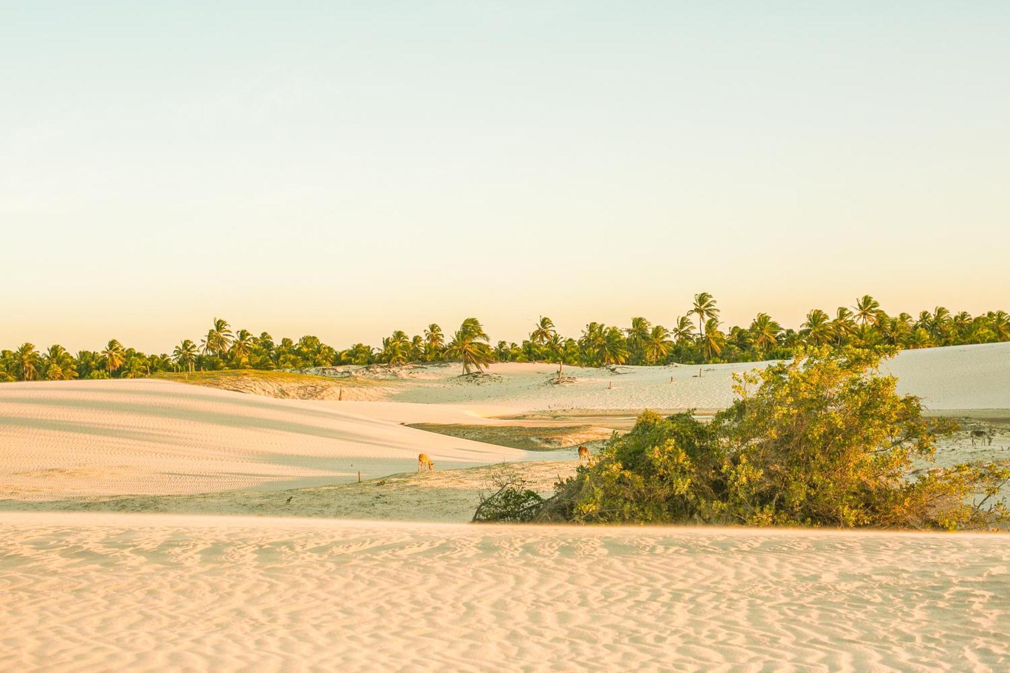 Vila Beiju Barrinha - Frente Mar! Экстерьер фото
